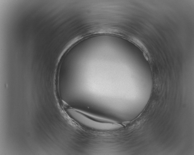 X0000073871138200609071652