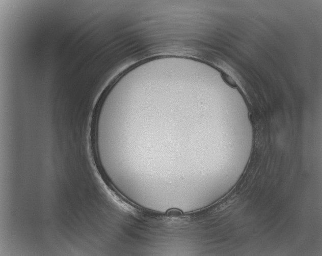 X0000073871139200609071652