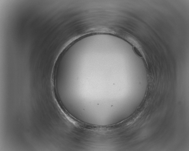 X0000073871141200609071652