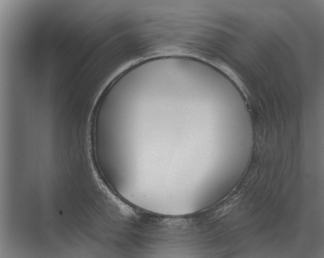 X0000073871142200609071652