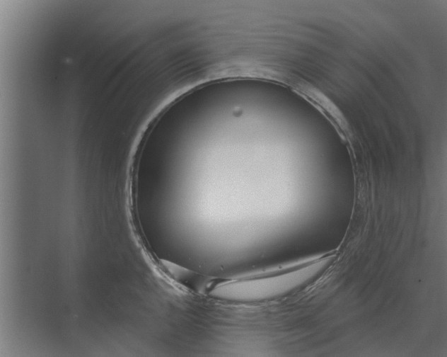 X0000073871144200609071652