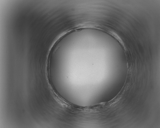 X0000073871146200609071652