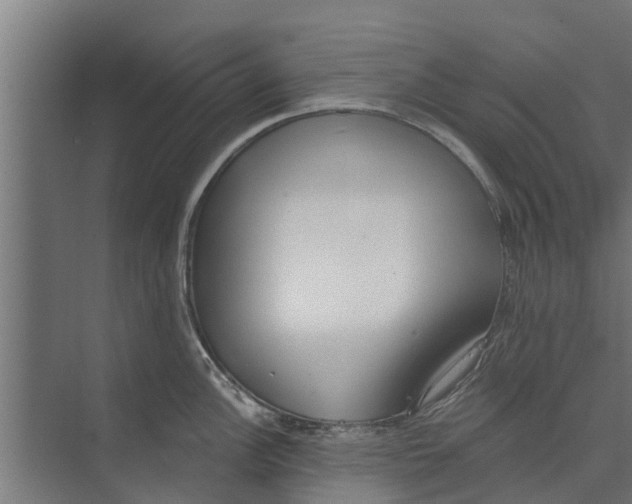 X0000073871148200609071652