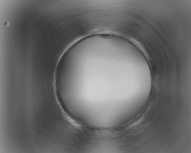 X0000073871149200609071652