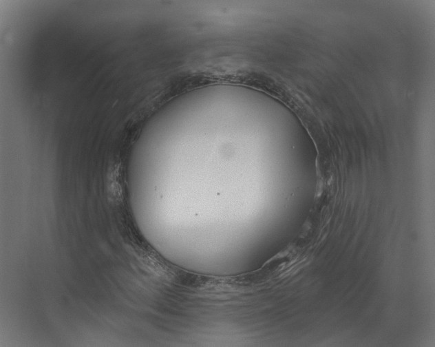 X0000073871156200609071651