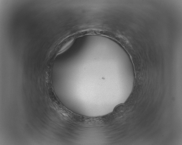 X0000073871159200609071651