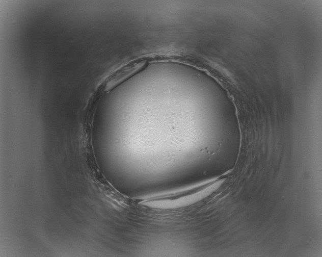 X0000073871160200609071651