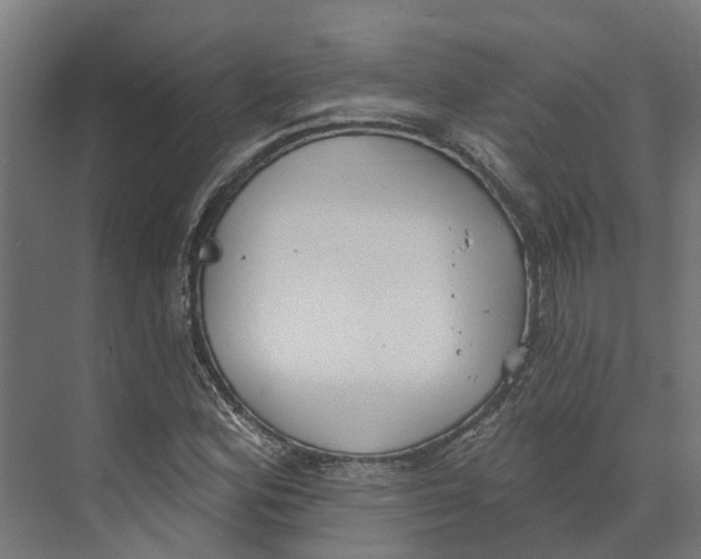 X0000073871164200609071651