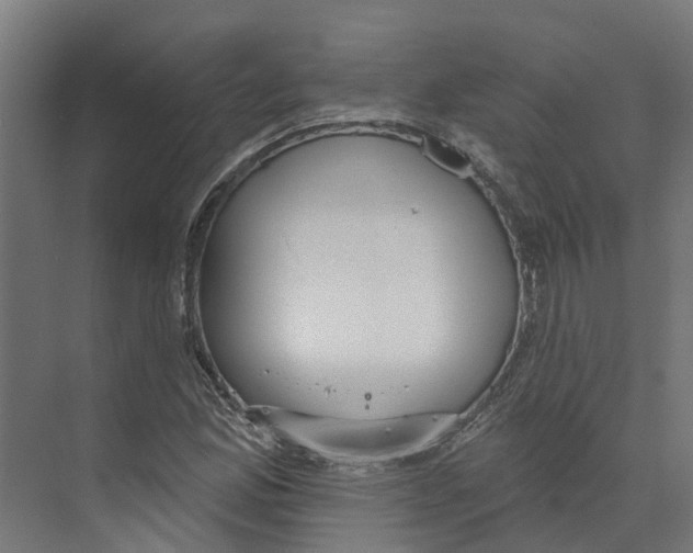 X0000073871165200609071651