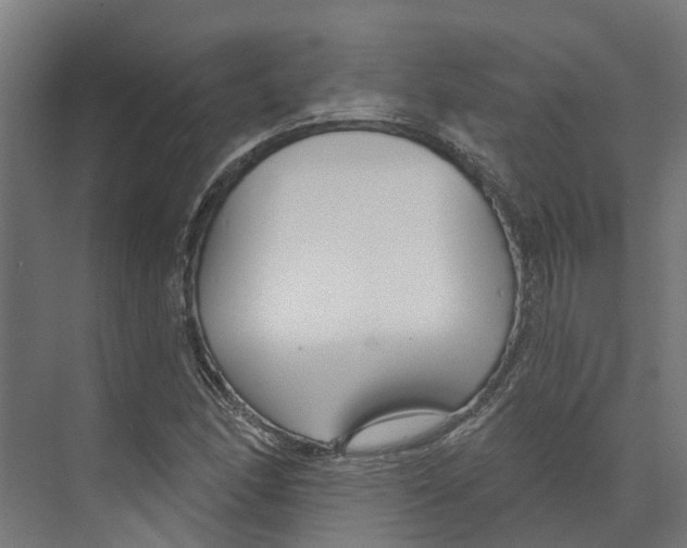 X0000073871166200609071651