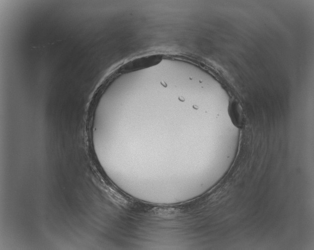 X0000073871168200609071651