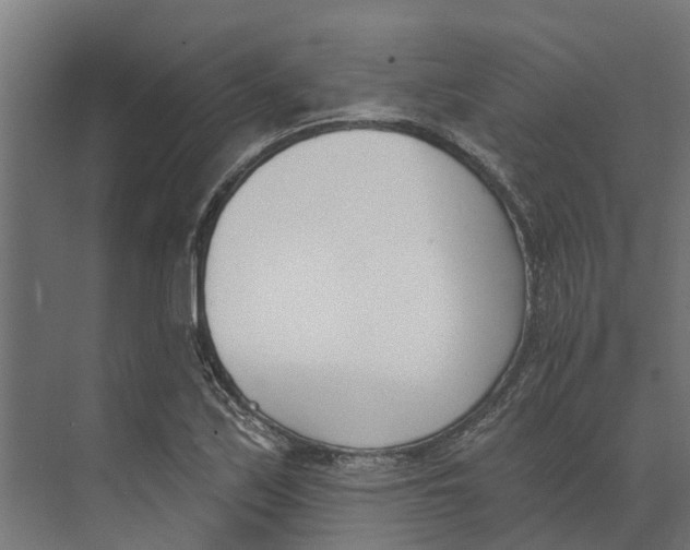 X0000073871171200609071651