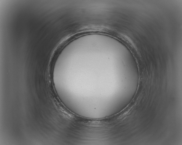 X0000073871172200609071651