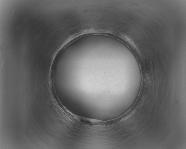 X0000073871173200609071651