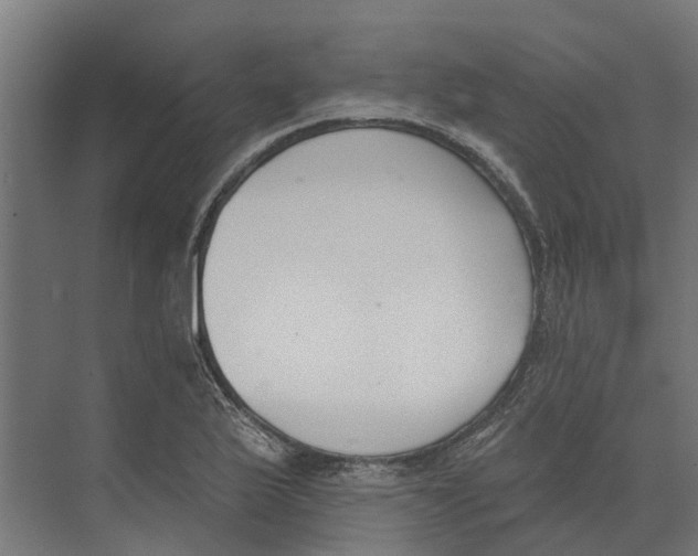 X0000073871175200609071651