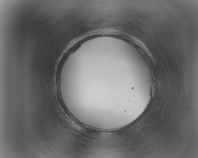 X0000073871176200609071651