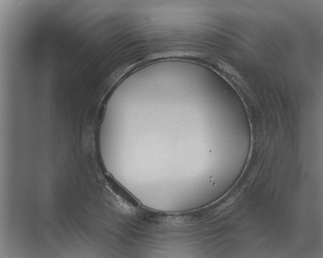 X0000073871177200609071651