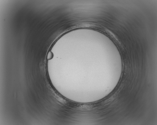 X0000073871178200609071651