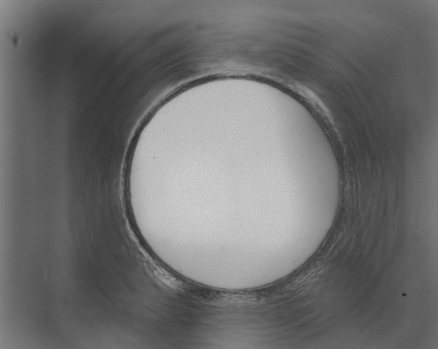 X0000073871183200609071651