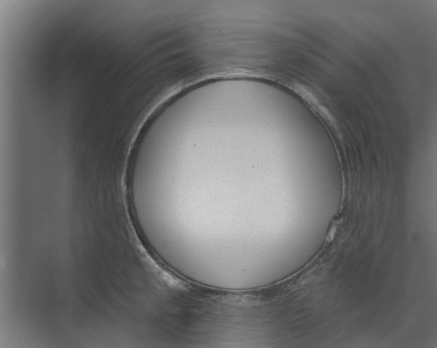 X0000073871189200609071651