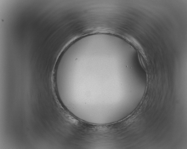 X0000073871190200609071651