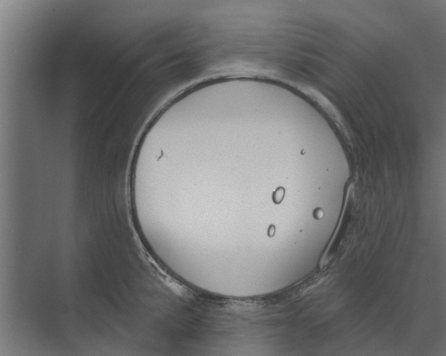 X0000073871191200609071651