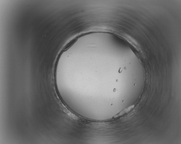 X0000073871192200609071651