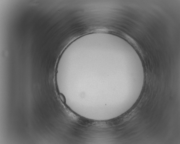 X0000073871194200609071651