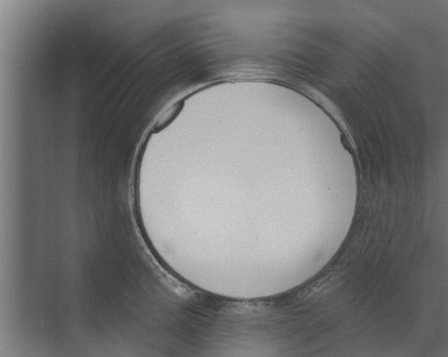 X0000073871195200609071651