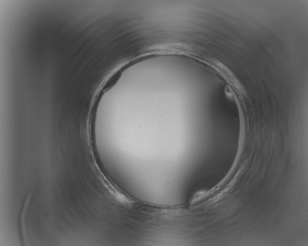 X0000073871196200609071651