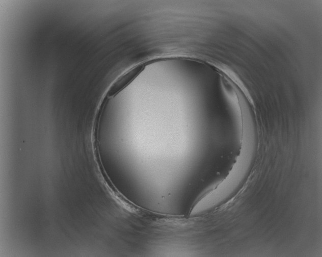 X0000073871197200609071651