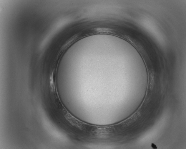 X0000073871198200609071651