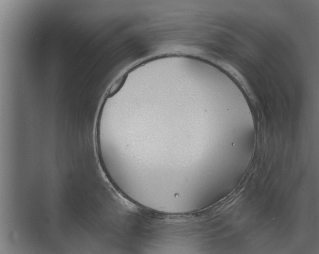 X0000073871199200609071651