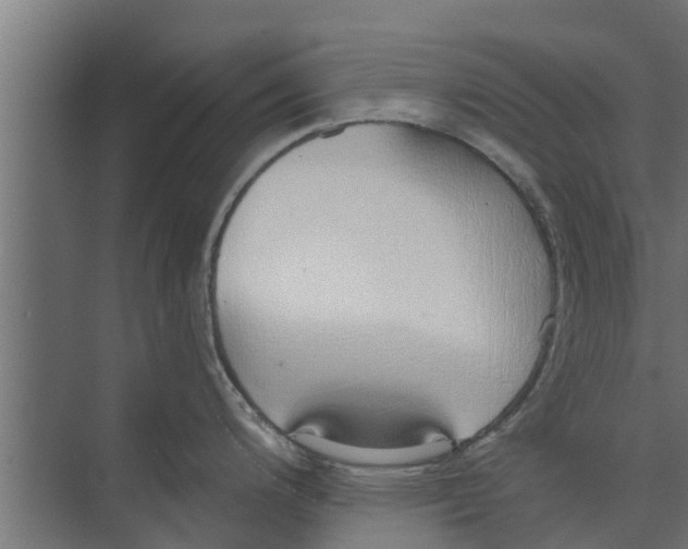 X0000073871200200609071651