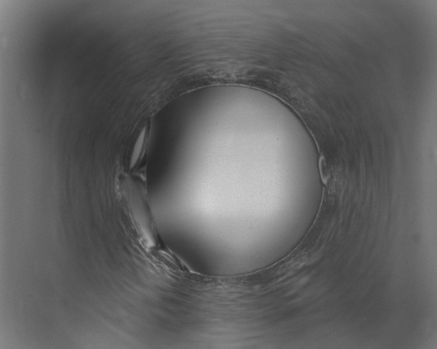 X0000073871202200609071650