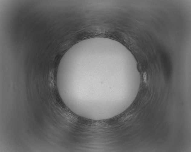 X0000073871203200609071650