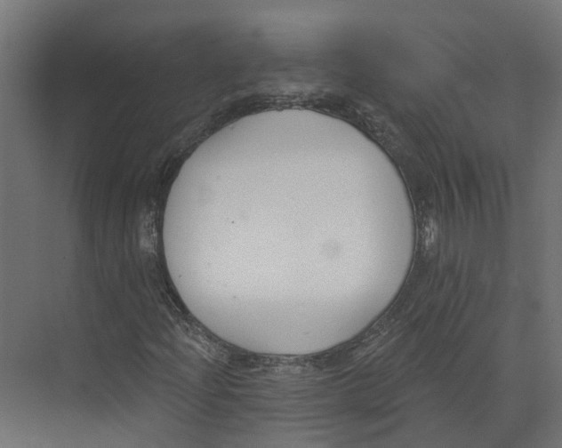 X0000073871204200609071650