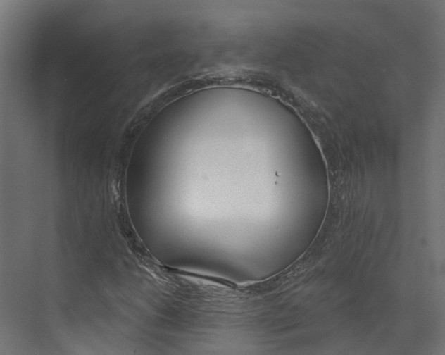 X0000073871206200609071650