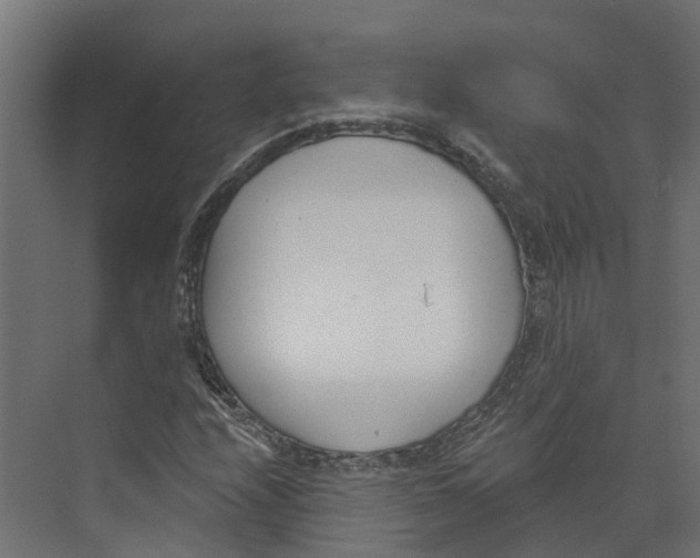 X0000073871208200609071650