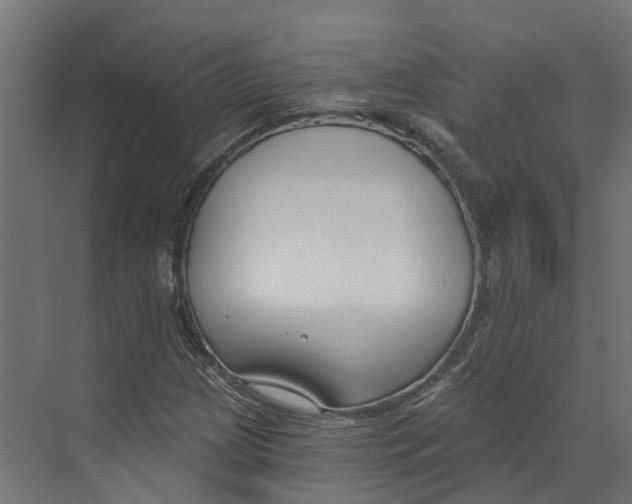 X0000073871209200609071650