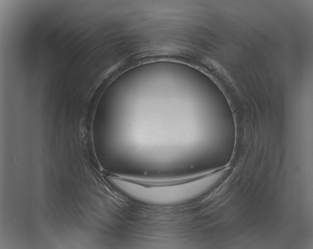 X0000073871210200609071650