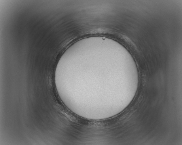 X0000073871217200609071650