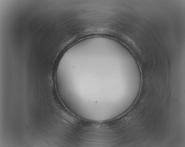 X0000073871218200609071650