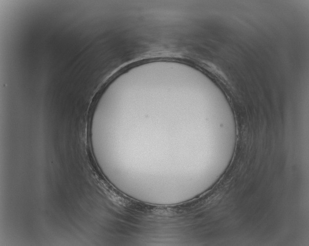 X0000073871220200609071650