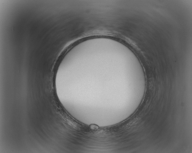 X0000073871222200609071650