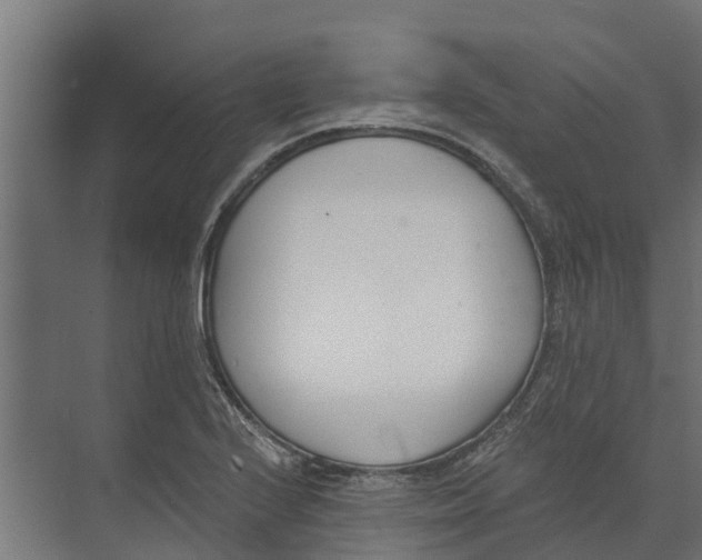 X0000073871224200609071650