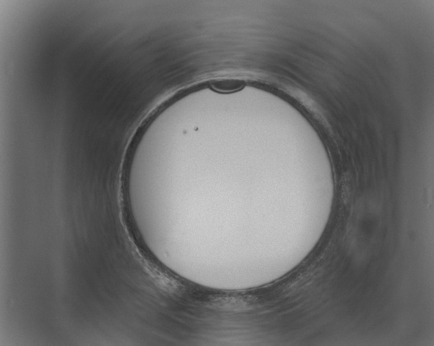 X0000073871229200609071650