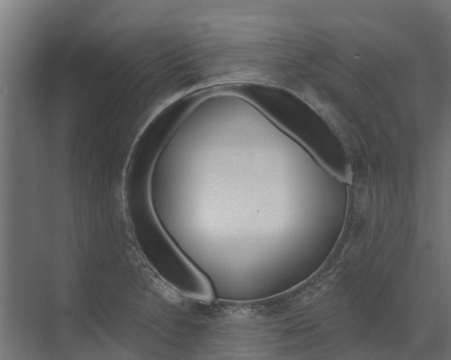 X0000073871230200609071650