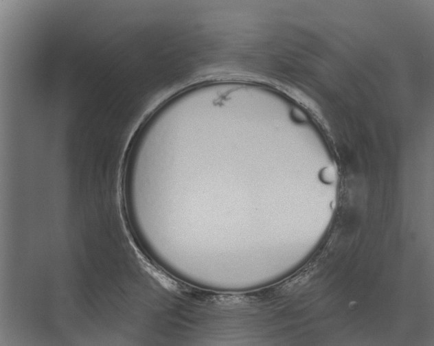 X0000073871231200609071650