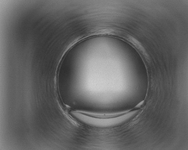 X0000073871234200609071650